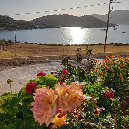 Aggeliki'S Apartments リプシ エクステリア 写真