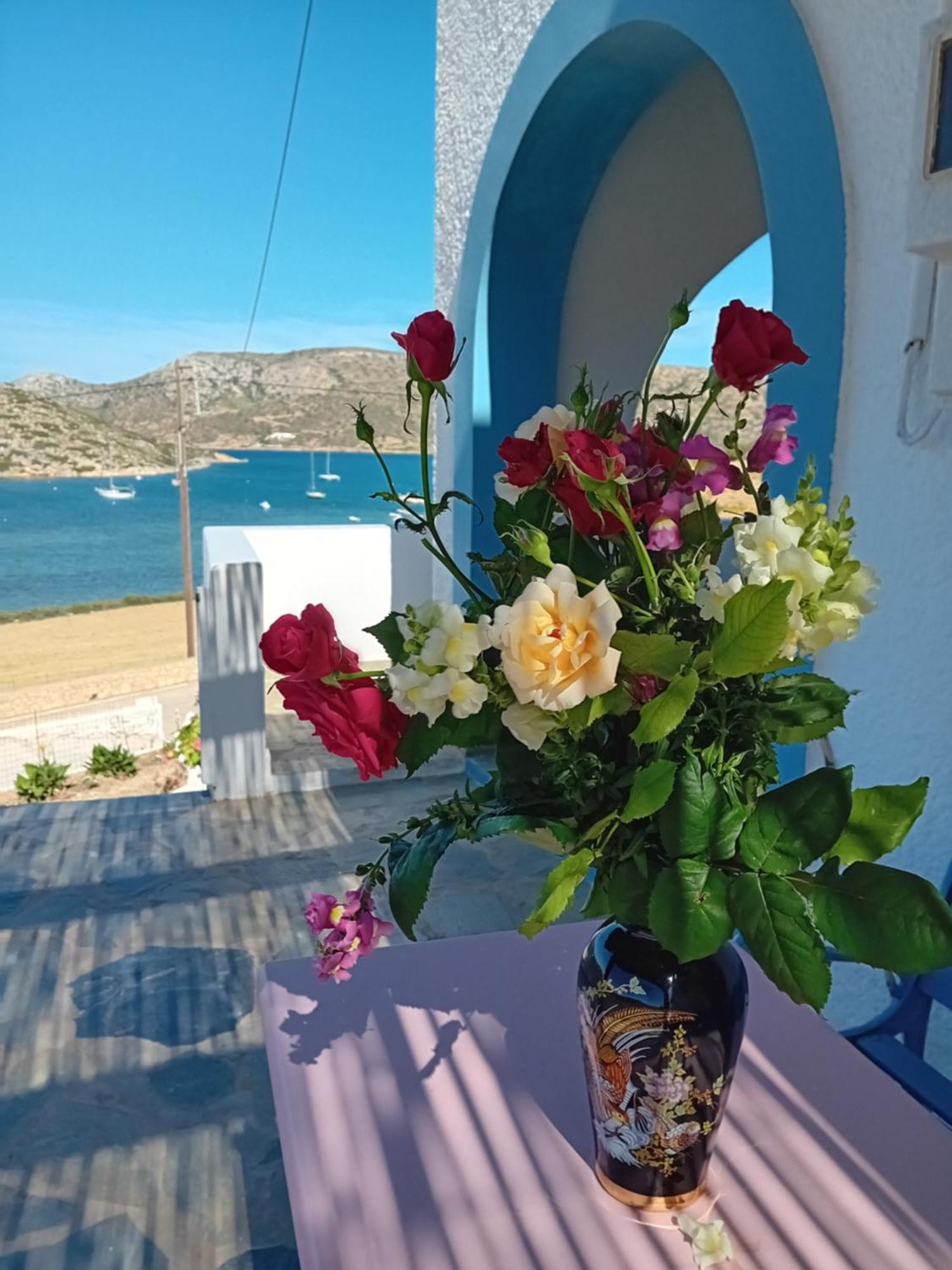 Aggeliki'S Apartments リプシ エクステリア 写真