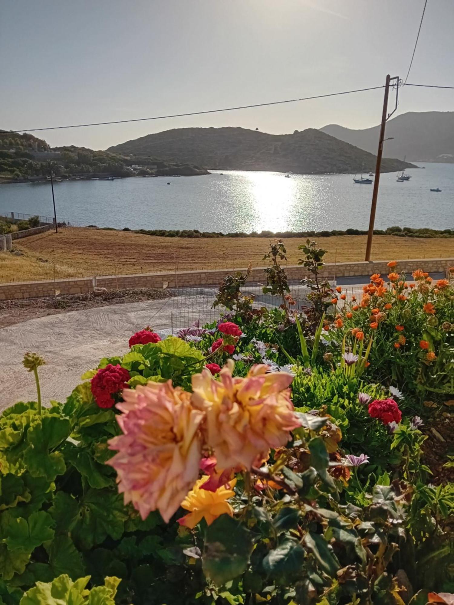 Aggeliki'S Apartments リプシ エクステリア 写真