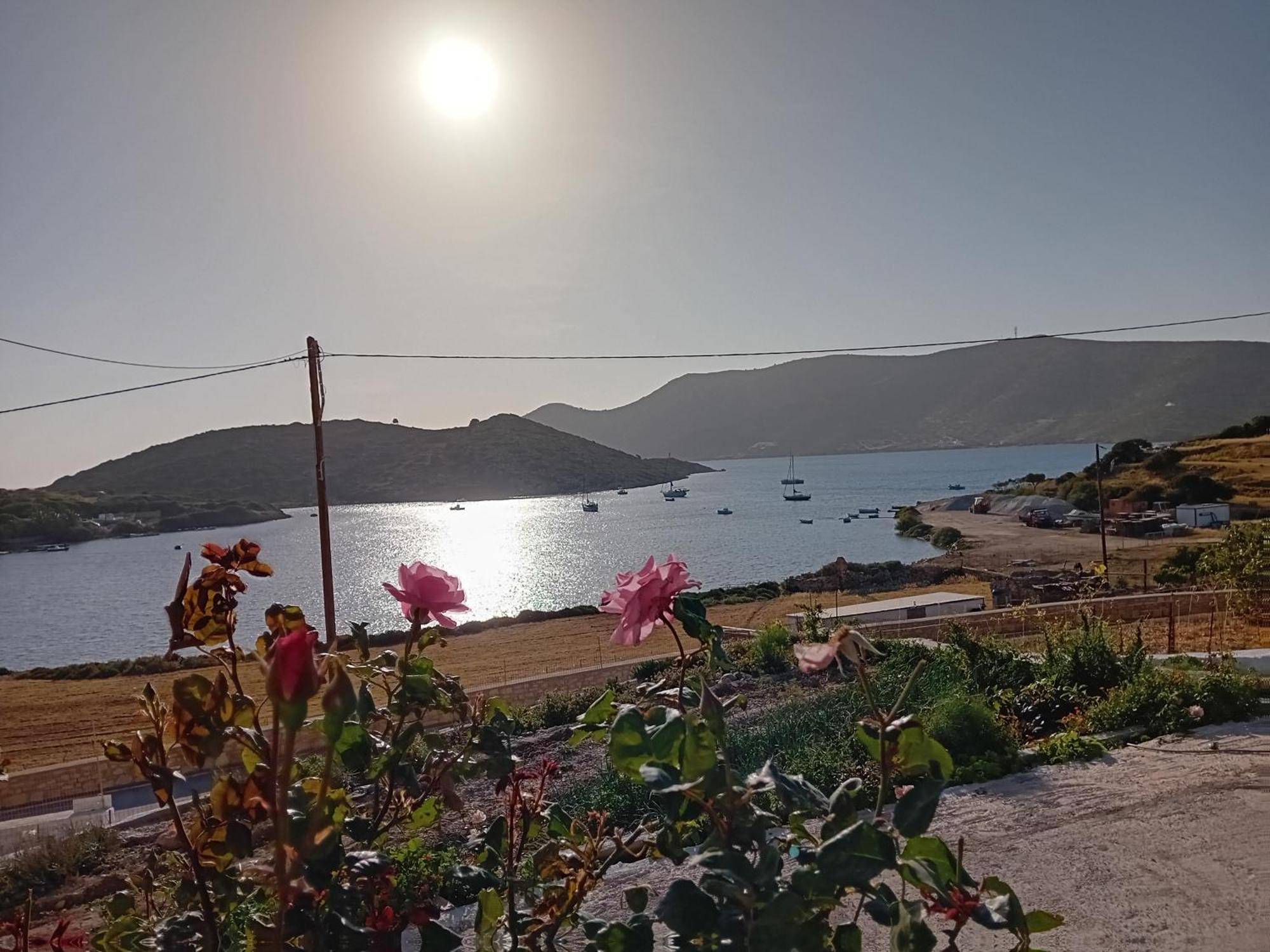 Aggeliki'S Apartments リプシ エクステリア 写真
